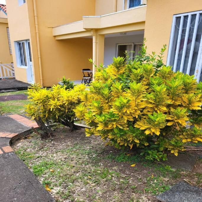 סנטה-אנה Appartement A Saint-Anne - Residence Beauregard מראה חיצוני תמונה
